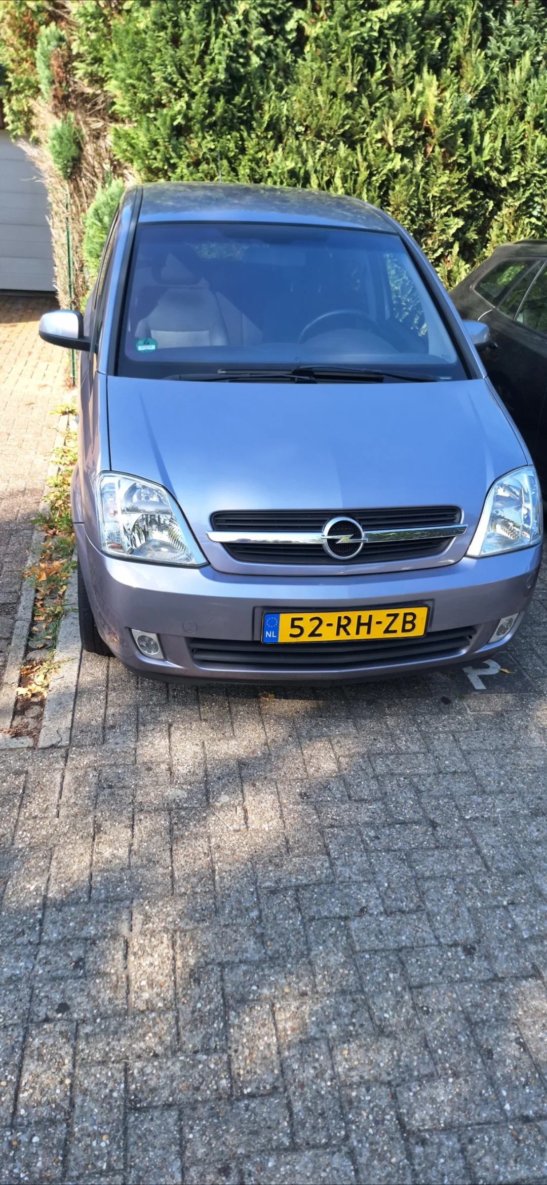 1000067273.webp