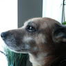 Profielfoto van John Cuppen
