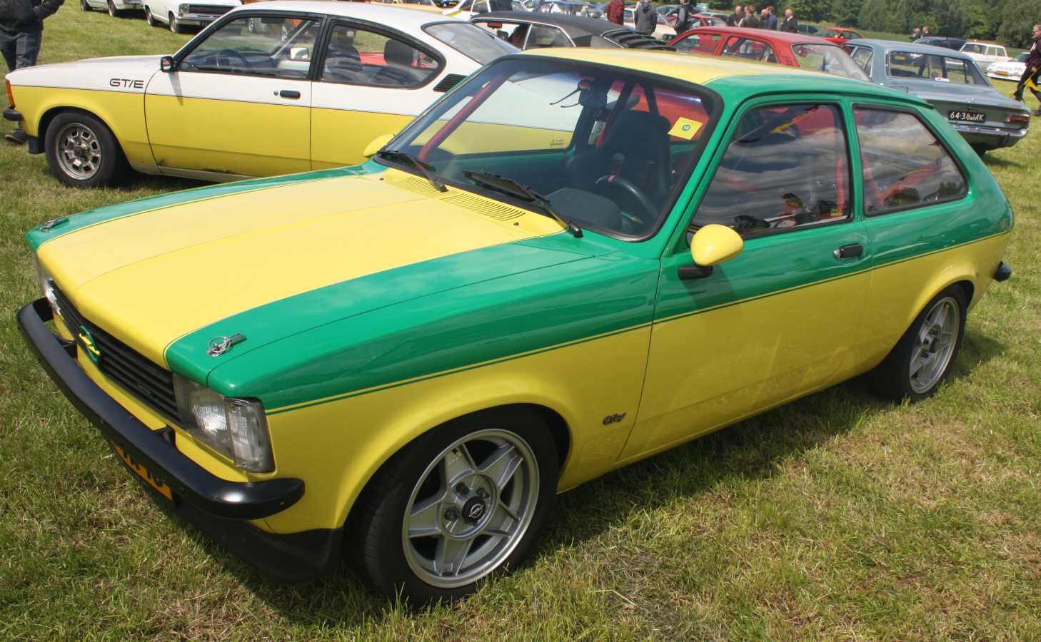 Opel Romijn treffen (568)
