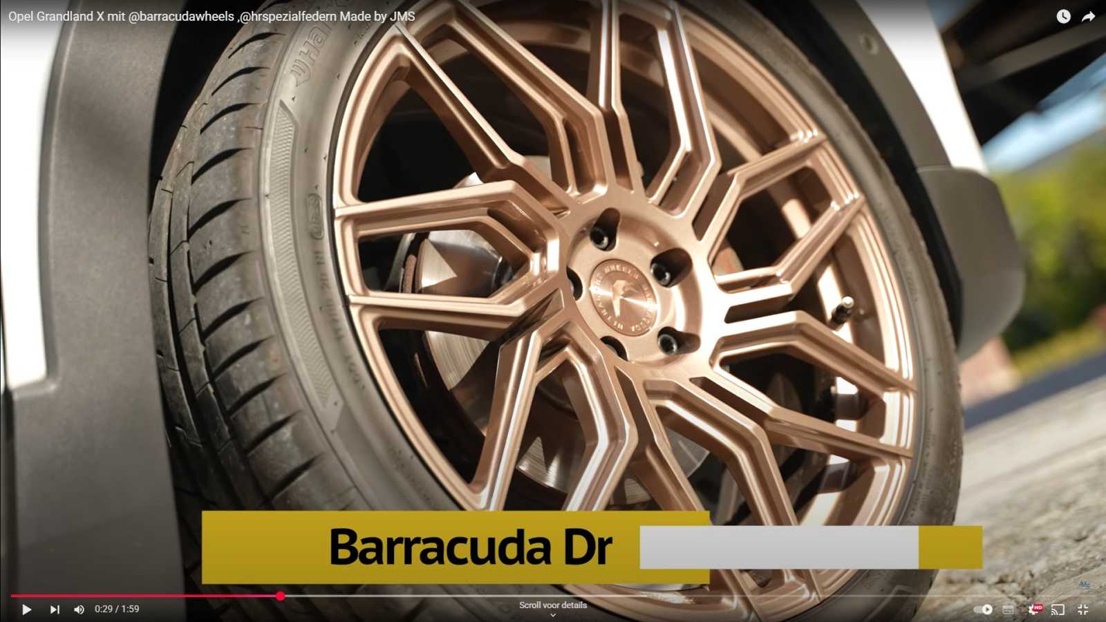 barracuda velgen